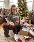 Load image into Gallery viewer, Do Not Open Without Me unisex tee in Heather Military Green with a custom Havanese design | Alpha Paw