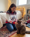 Load image into Gallery viewer, Custom Pet Knitted Holiday Sweater - Polar Express - worn at home with a custom Persian cat portrait named TRUFFLE | Alpha Paw