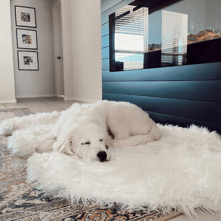 PupRug™ Faux Fur Orthopedic Dog Bed - Curve Polar White