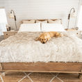 Load image into Gallery viewer, PupCloud™ Human-Size Dog Bed + Matching Waterproof Blanket Bundle - White with Brown Accents