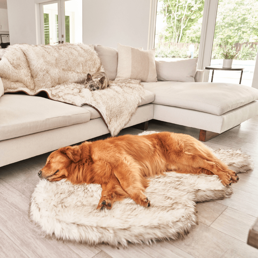 PupRug™ Faux Fur Orthopedic Dog Bed - Curve White with Brown Accents