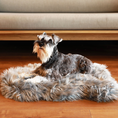 Load image into Gallery viewer, PupRug™ Faux Fur Orthopedic Dog Bed - Curve Charcoal Grey
