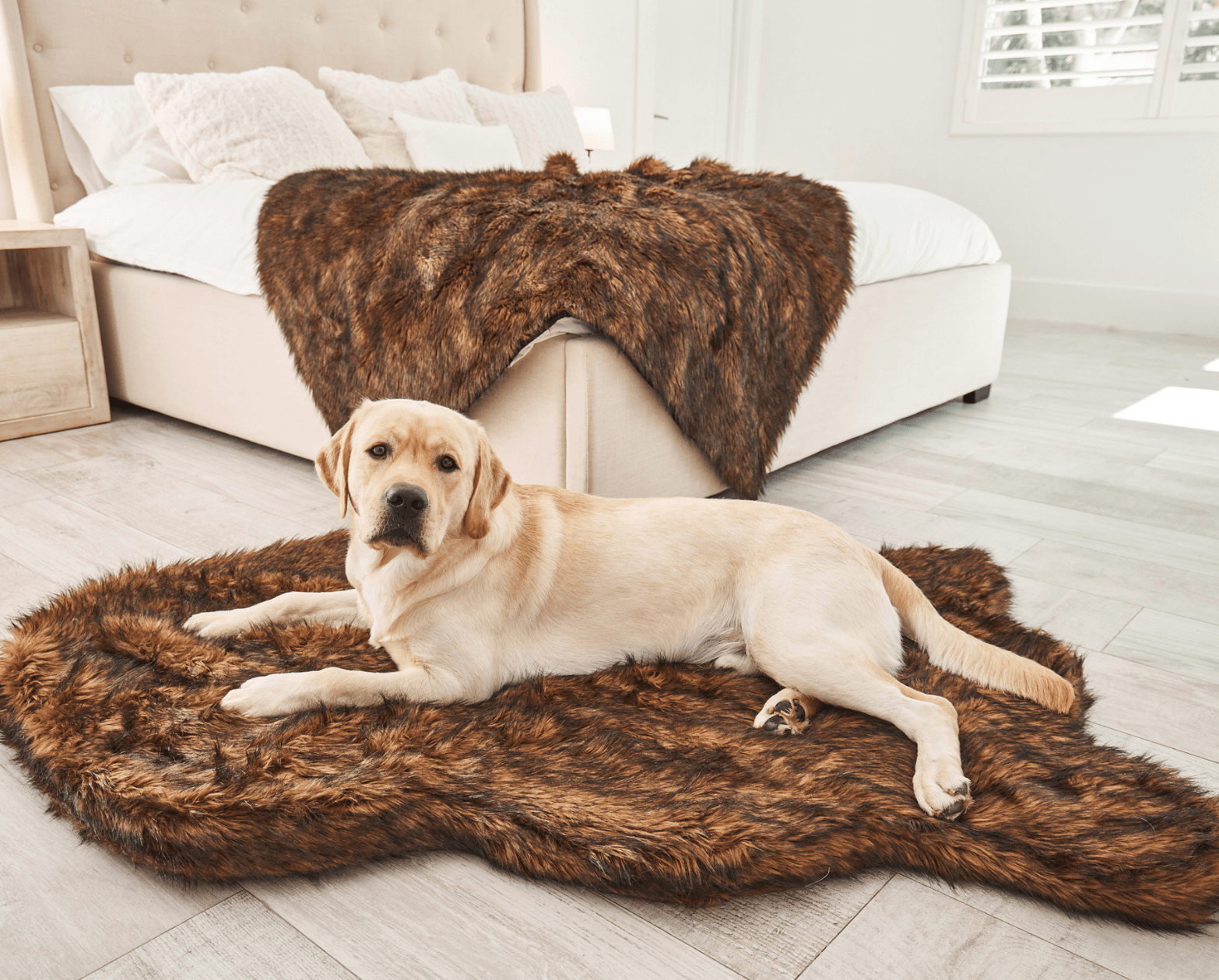 PupRug™ Faux Fur Orthopedic Dog Bed - Curve Brown