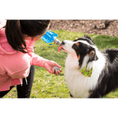 Load image into Gallery viewer, Vapur® EZ Lick™ Portable Dog Water Bottle