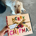 Load image into Gallery viewer, Santa Paws' Best Chipmas Dog Treat Box