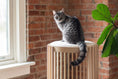 Load image into Gallery viewer, Grove Cat Tower