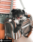 Load image into Gallery viewer, Mr. Peanut's Gold Series Mini Size Airline Compliant Expandable Pet Carrier