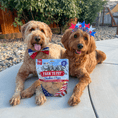 Load image into Gallery viewer, Americana Chicken Chips for Dogs