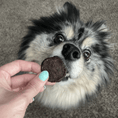 Load image into Gallery viewer, Beef Chips for Dogs