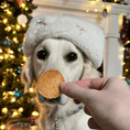 Load image into Gallery viewer, Santa Paws' Best Chipmas Dog Treat Box