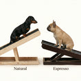 Load image into Gallery viewer, PawRamp – The #1 Vet-Recommended Way to Protect Your Dog’s Back & Joints
