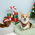 Load image into Gallery viewer, Cozy Calming™ Pet Bed - 28" Inch
