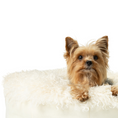 Load image into Gallery viewer, PupPouf™ Luxe Faux Fur Donut Dog Bed - Plush Sheep Ivory