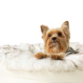 Load image into Gallery viewer, PupPouf™ Faux Fur Donut Dog Bed - White with Brown Accents