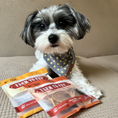 Load image into Gallery viewer, Puppy Packs 'N Snacks Dog Treat Starter