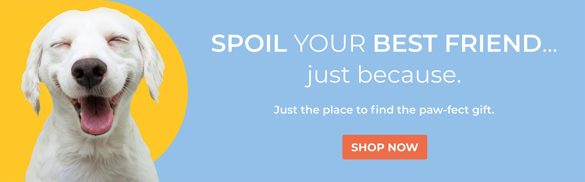 Vet Recommended Pet Supplies at Low Prices | Alpha Paw