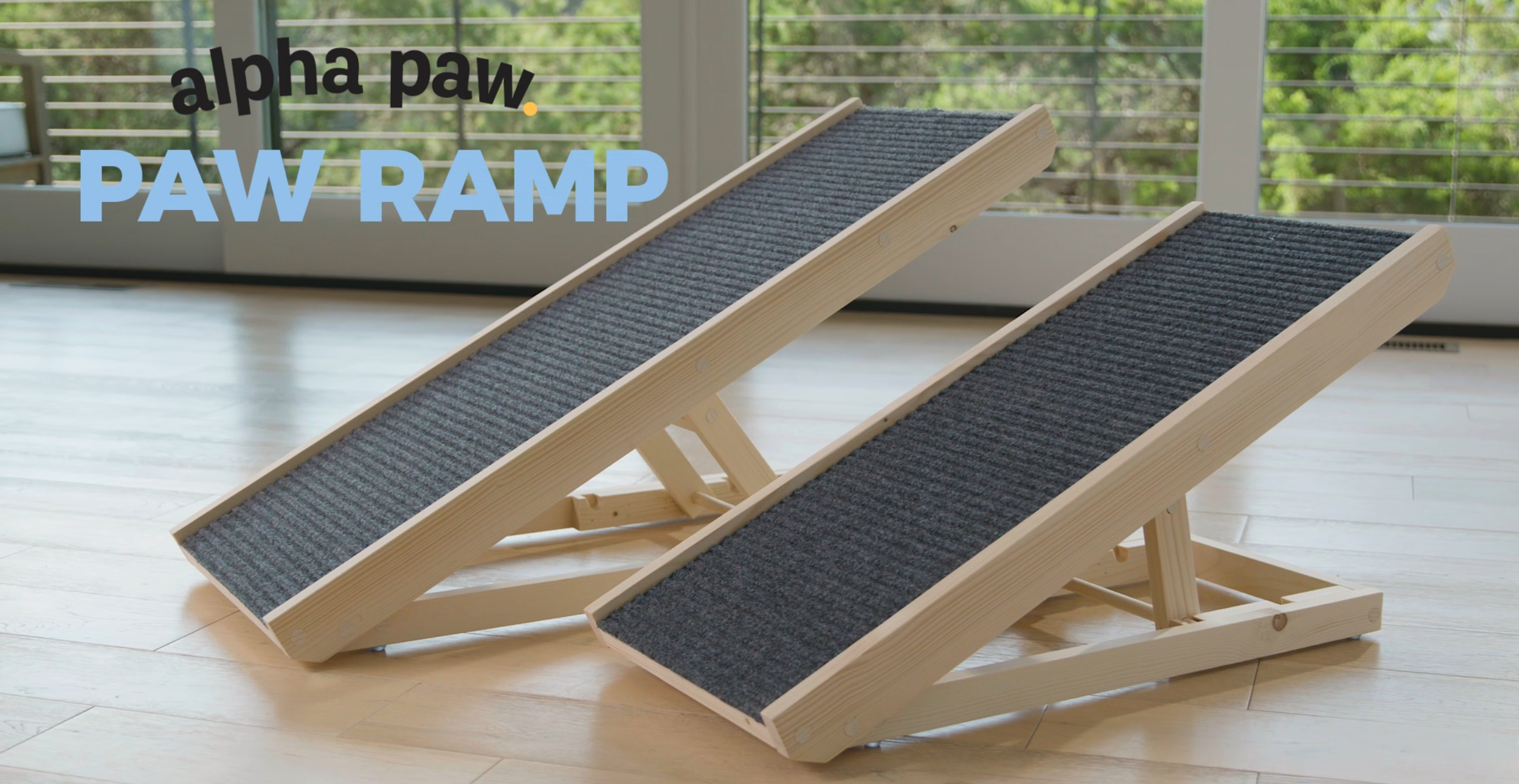 Dog Ramp Video