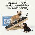 Load image into Gallery viewer, PawRamp – The #1 Vet-Recommended Way to Protect Your Dog’s Back & Joints