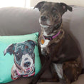 Load image into Gallery viewer, Custom Pet Couch Pillow with Cover | Alpha Paw