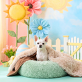 Load image into Gallery viewer, Cozy Calming™ Pet Bed - 28" Inch