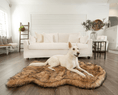 Load image into Gallery viewer, PupRug™ Faux Fur Orthopedic Dog Bed - Curve Sable Tan