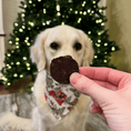 Load image into Gallery viewer, Snack Stuffers Mini Dog Treat Bags