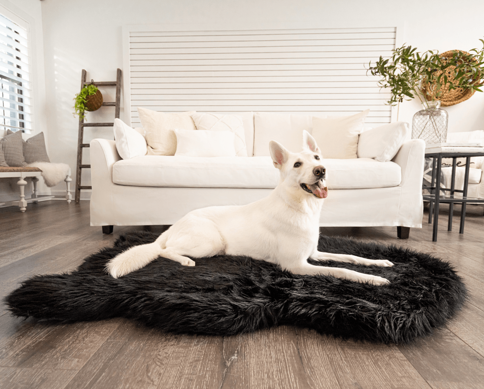 PupRug™ Faux Fur Orthopedic Dog Bed - Curve Midnight Black