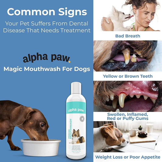 Magic Mouthwash™ For Dogs | Alpha Paw