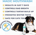 Load image into Gallery viewer, Magic Mouthwash™ For Dogs | Alpha Paw