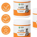 Load image into Gallery viewer, Cat L-Lysine | Alpha Paw