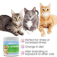Load image into Gallery viewer, Cat L-Lysine | Alpha Paw