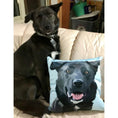 Load image into Gallery viewer, Custom Pet Couch Pillow with Cover | Alpha Paw