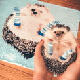 Load image into Gallery viewer, Custom Pet Fleece Blanket | Alpha Paw
