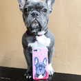 Load image into Gallery viewer, Custom Pet Snap Case | Alpha Paw