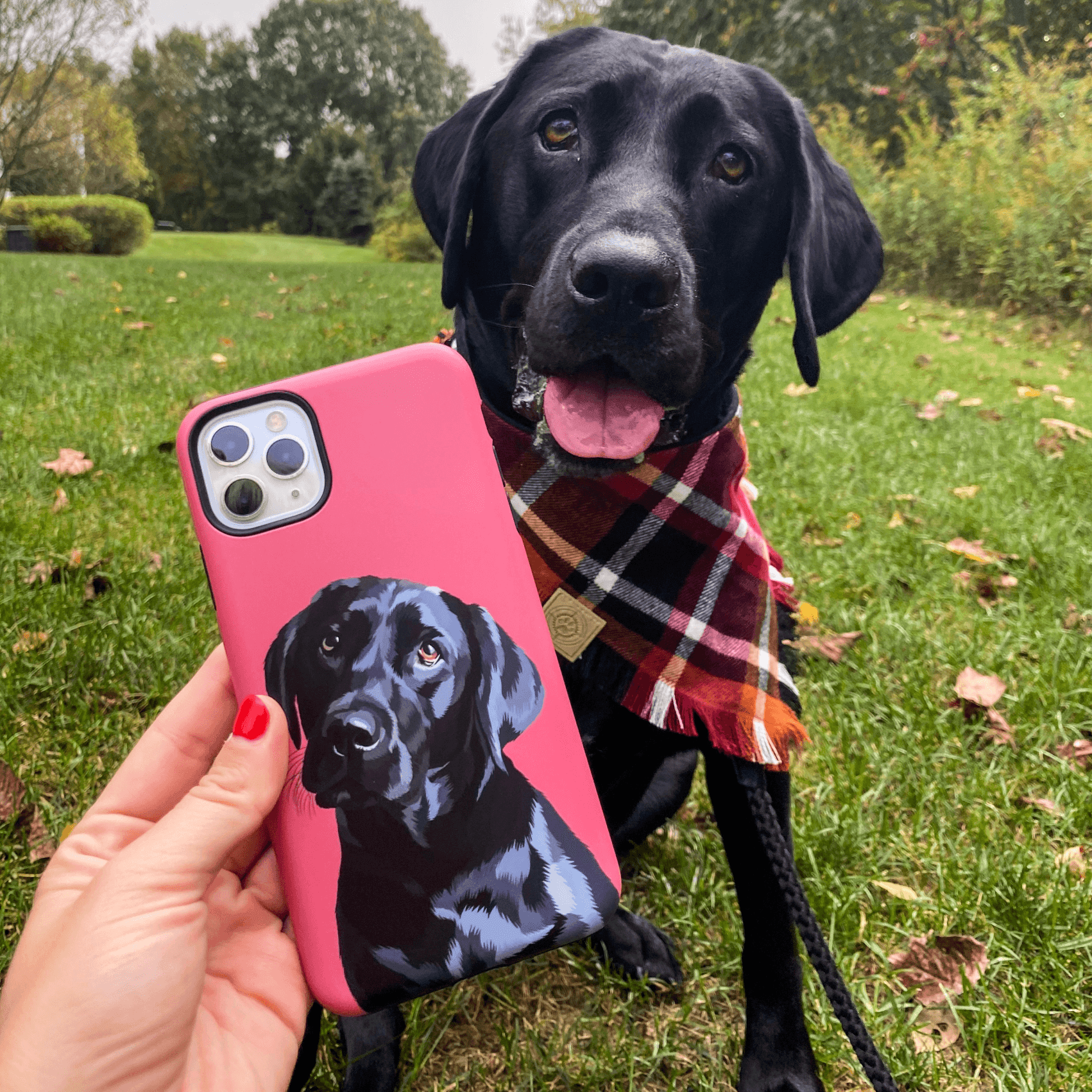 Custom Pet Tough Case | Alpha Paw