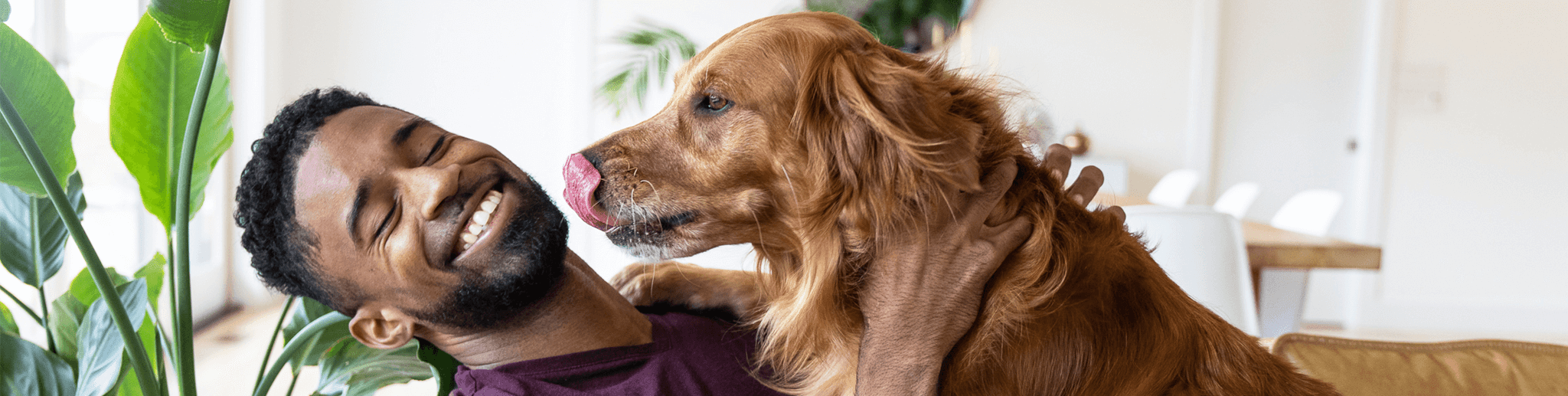 Pet Parents