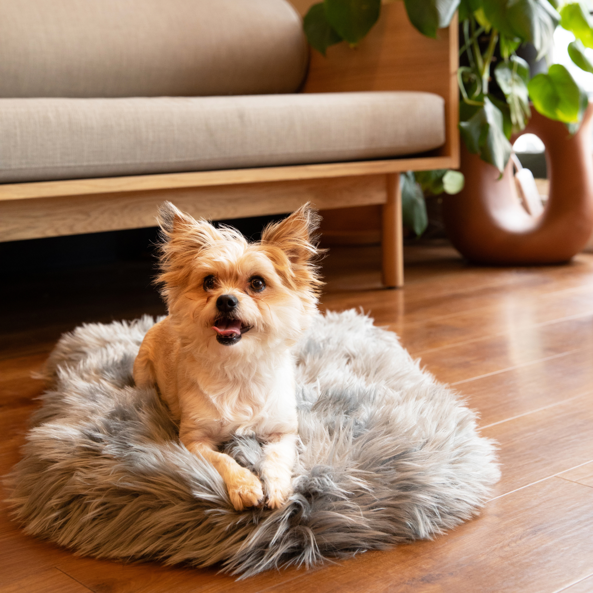 PupRug™ Faux Fur Orthopedic Dog Bed - Curve Charcoal Grey