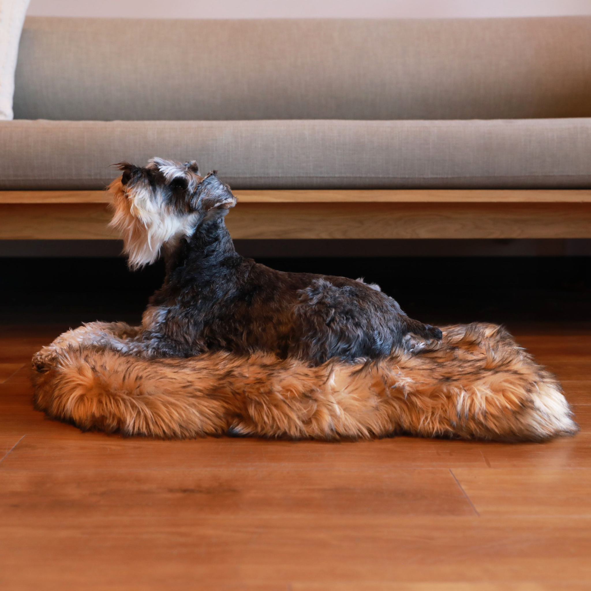 PupRug™ Faux Fur Orthopedic Dog Bed - Curve Sable Tan