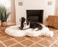 Load image into Gallery viewer, PupRug™ Faux Fur Orthopedic Dog Bed - Curve Polar White
