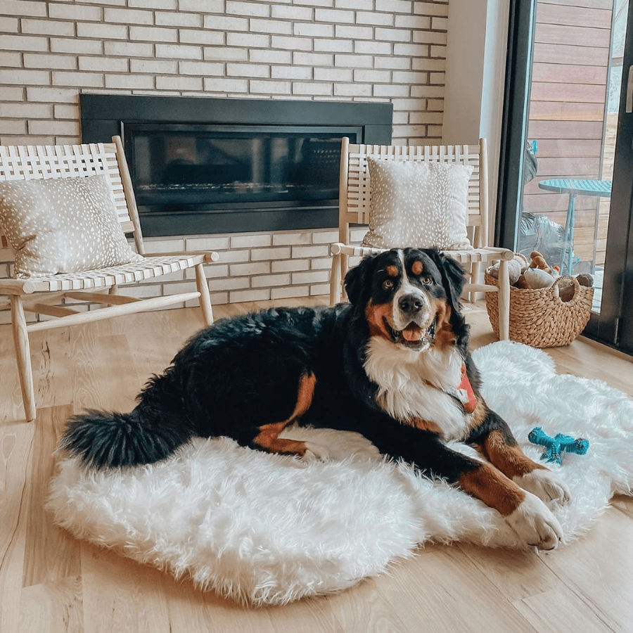 PupRug™ Faux Fur Orthopedic Dog Bed - Curve Polar White