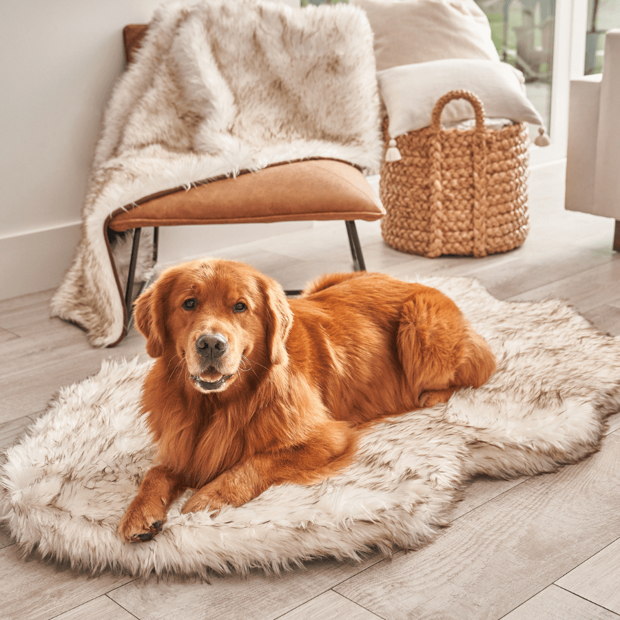 PupRug™ Faux Fur Orthopedic Dog Bed - Curve White with Brown Accents