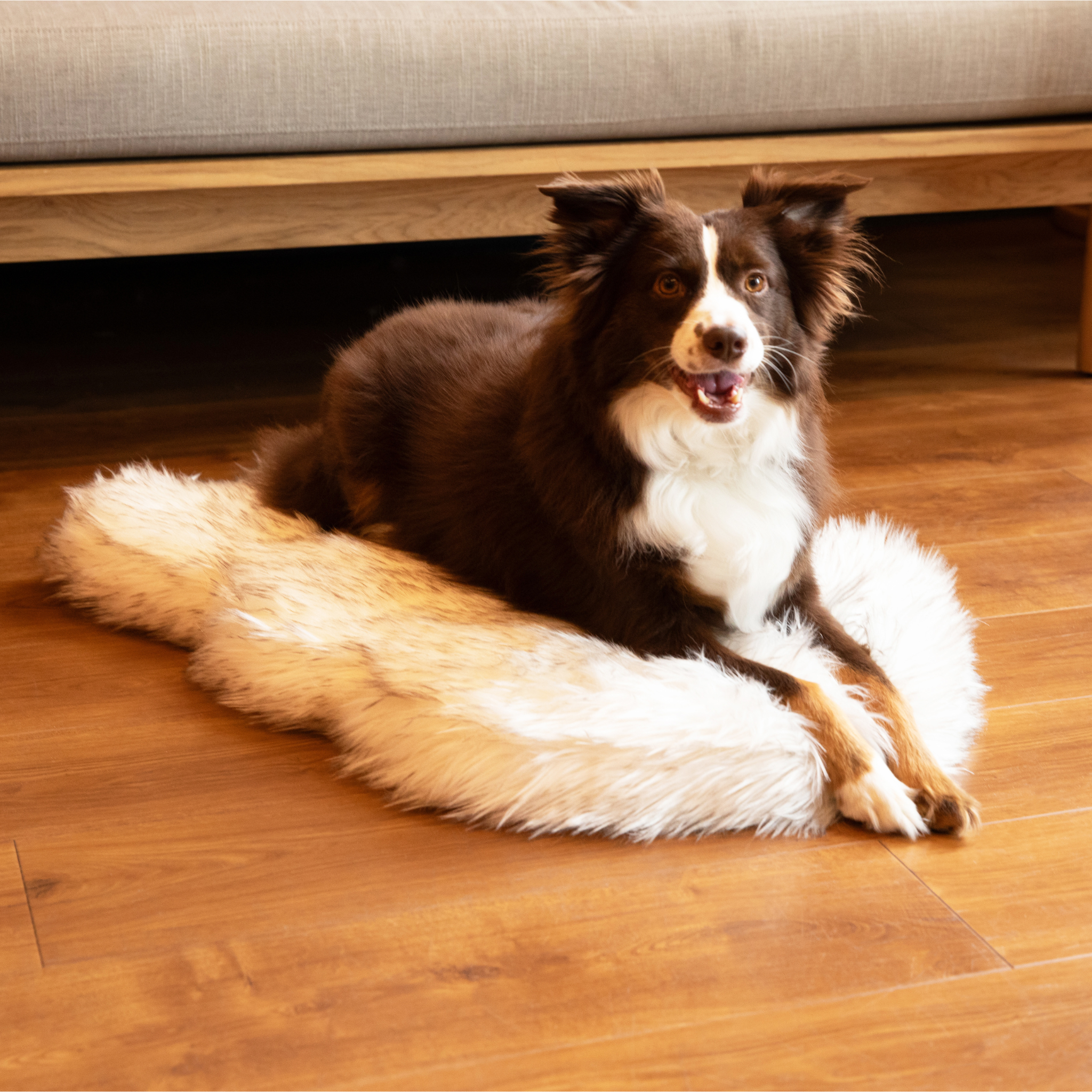 PupRug™ Faux Fur Orthopedic Dog Bed - Curve White with Brown Accents