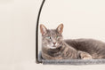 Load image into Gallery viewer, Cloud Nine Window Hammock
