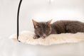 Load image into Gallery viewer, Cloud Nine Window Hammock
