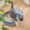 Load image into Gallery viewer, Mr. Peanut's PortaPotty Litter Box for Traveling Kitties
