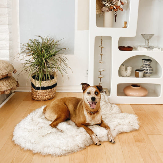 PupRug™ Faux Fur Orthopedic Dog Bed - Curve White with Brown Accents