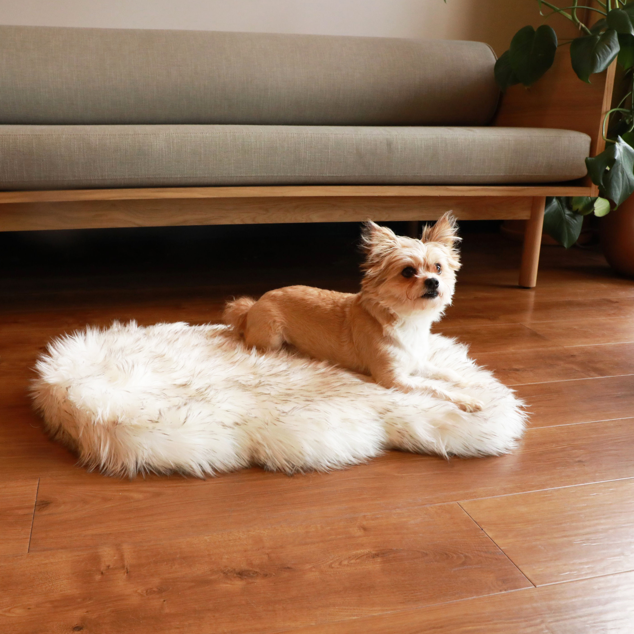 PupRug™ Faux Fur Orthopedic Dog Bed - Curve White with Brown Accents