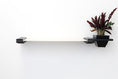 Load image into Gallery viewer, Cat Hammock Wall with Planter

