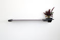 Load image into Gallery viewer, Cat Hammock Wall with Planter
