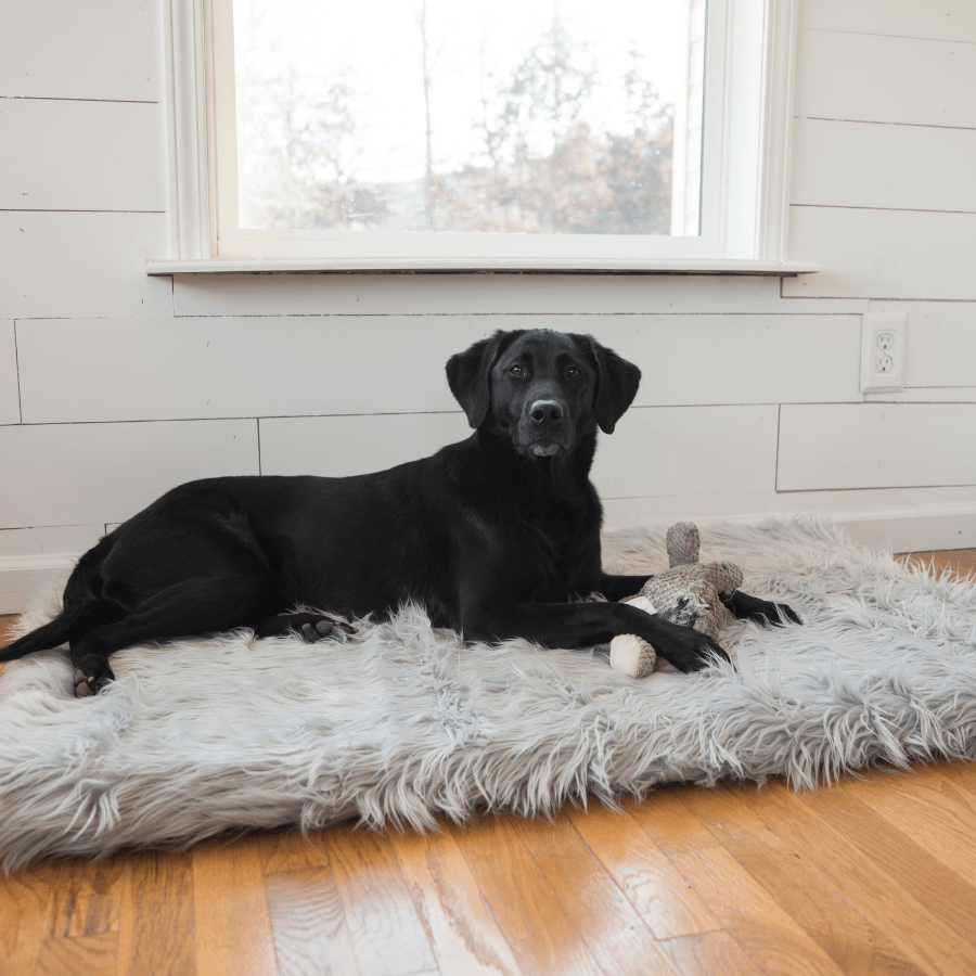 PupRug™ Faux Fur Orthopedic Dog Bed - Rectangle Grey